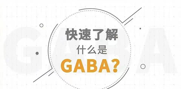 Ϣ\(yn)(dng)ǰz루L(zhng)GABA(du)L(zhng)؁ͷڵķ(yng)