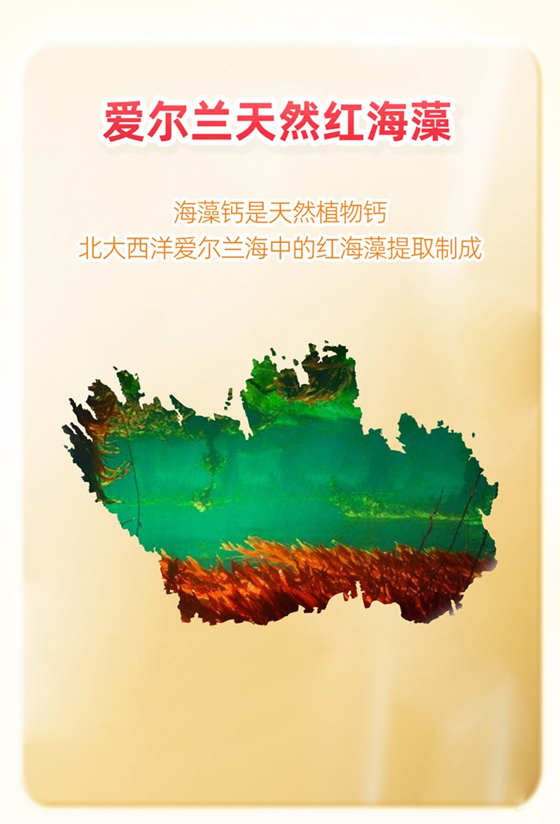 金奇仕力智乳Ca海藻粉高鈣凝膠糖果詳情圖_03.jpg